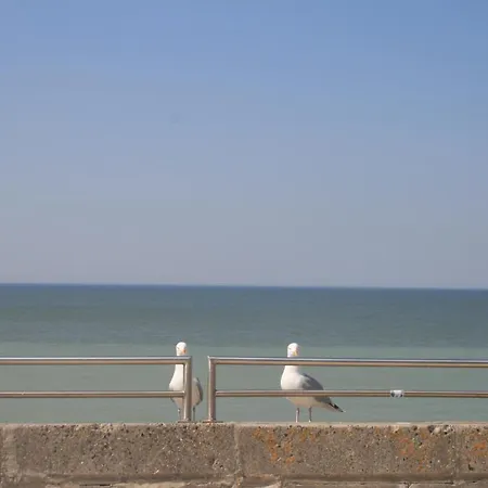 Proche De La Mer أولت